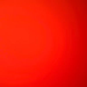 Meet your Posher, Adriana